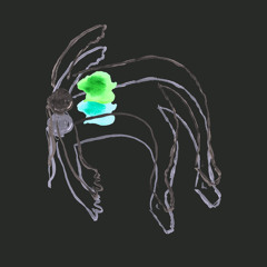 Gold White / The Bell Tower / Circle Forms