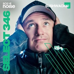 Select 346: Mixed by Bushwacka!