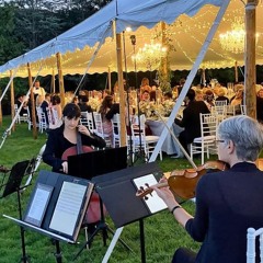 Incredible - James TW (GSS strings cover)