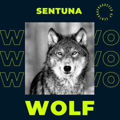 Sentuna - Wolf (Official Audio)