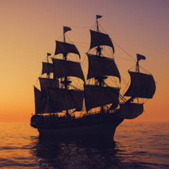 A Pirate's Life