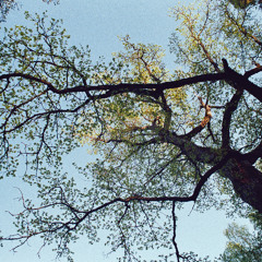 Karuselli