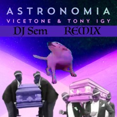Vicetone & Tony Igy - Astronomia (DJ Sem Remix)