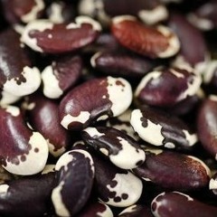 CreatureFromTheBlackLegume