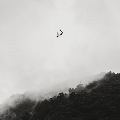 Break My Fall