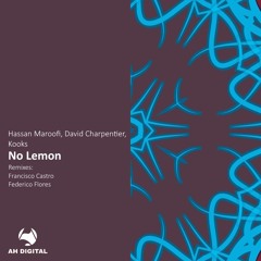 Hassan Maroofi, David Charpentier, Kooks - No Lemon (Original Mix)