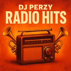🔥 DJ PERZY – RADIO HITS (Latin x Afrobeat Fusion) 📻🔥🌴