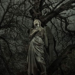 They all hate yung crow