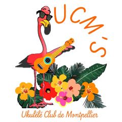 El-condor-pasa (Ukulele Club de Montpellier)
