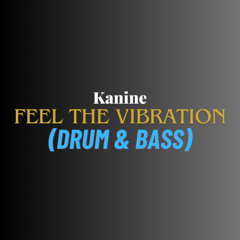 Kanine - Feel The Vibration D&B
