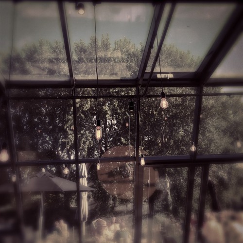 [disquiet0601] No Dice