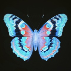 Butterfly (prod. zukid)