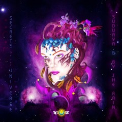 Secrets of the Universe