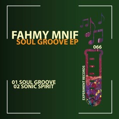 Fahmy Mnif - Soul Groove (Original Mix)
