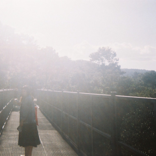 บันทึกของฤดูกาล - Demo