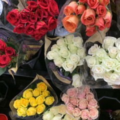 Want You To Know by Moe Waveyy