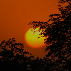 (It's Just) The End Of The Day