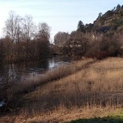 Vinter