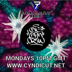 CYNDICUT RADIO 017 - JUNGLE PLATES AND RANGWAR PLAYTHROUGH