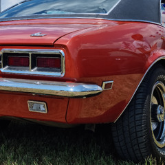 ᚎ0000ᚎ groootii sets