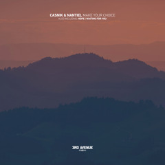 LTR Premiere : Casnik, Nantiel - Make Your Choice [3rd Avenue]