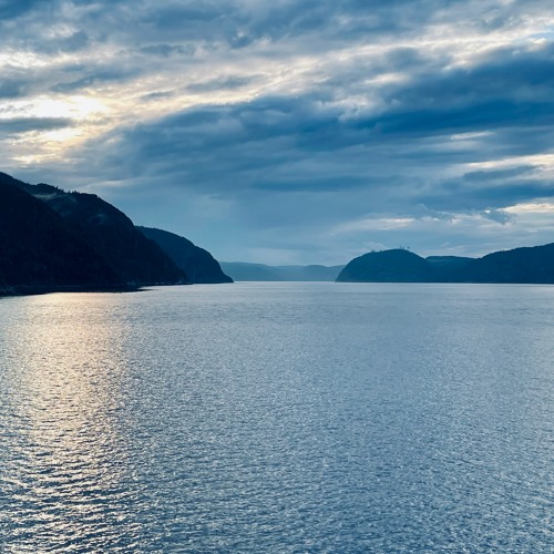 Swimming (Émilie Simon Cover)