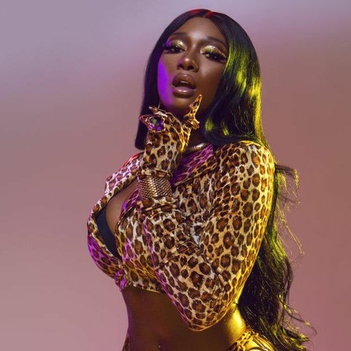 Megan Thee Stallion NPR Music Tiny Desk Concert