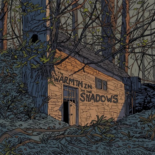 Warmth in the Shadows