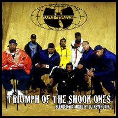 Wu-Tang Clan - Triumph Of The Shook Ones