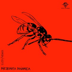 1 - Luca Vera - Azione  DGTL