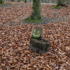 sorry for the weird vibes, im mentally ill