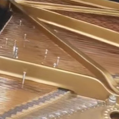 Dancers in the Vineyards, part III, performed by Tali Morgulis, live 6/03/2025, Houston