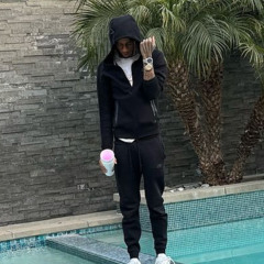 Bloodhound lil Jeff - TRX