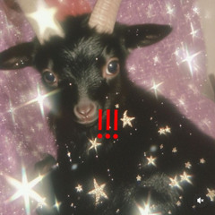 haven woods - SAME DAMN TIME! (ECHOVALLEY REMIX)