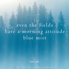 Into Mist [naviarhaiku412]