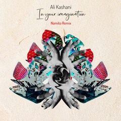 Premiere: Ali Kashani - In Your Imagination (Namito Remix) [Ubersee Music]
