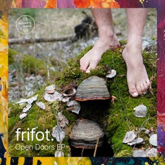 PREMIERE: Frifot — I Built My Spaceship Out Of Cartoon Dust (Original Mix) [Badabing Diskos]