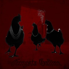 GANGSTA GALLINE