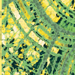 Angelic Ascent (feat. The Juan Maclean & Gee Dee)