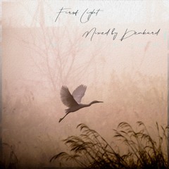 First Light | Mixed by Dēnkard