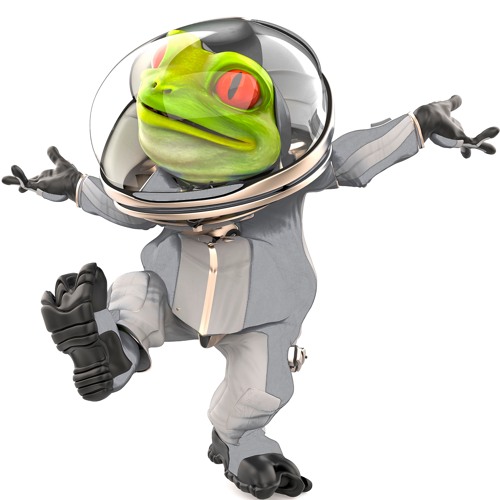 Lifestronaut - Space Frog