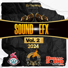 Sound Effects 2024 - DJ Tay Wsg - Sound EFX Vol. 2 (EFX 2024)