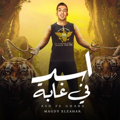 مهرجان اسد في غابه