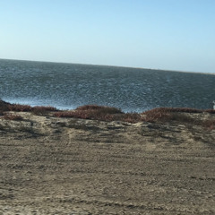 "Sounds of Silence" (see description).