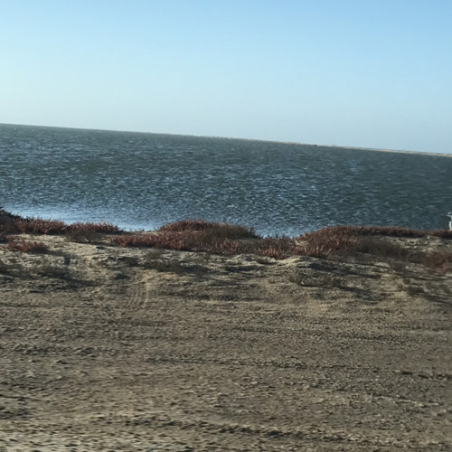 "Sounds of Silence" (see description).