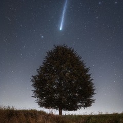 we’ll run away someday..