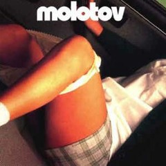 Molotov - Puto (Peggy Goritza 120bpm Remix)