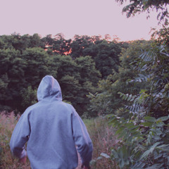 HAUNTED | $UICIDEBOY$ - 1000 BLUNTS HOUSE REMIX | INSIDEWORLD