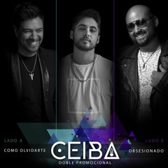 No Se Me Quita - Ricky Martin, Maluma (Cover)