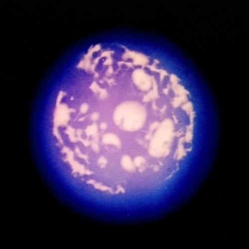Tracks as Omformer (Together with Mikkel Rev)